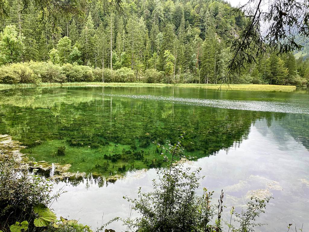 Wald